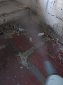 OZONOWANIE I ODGRZYBIANIE